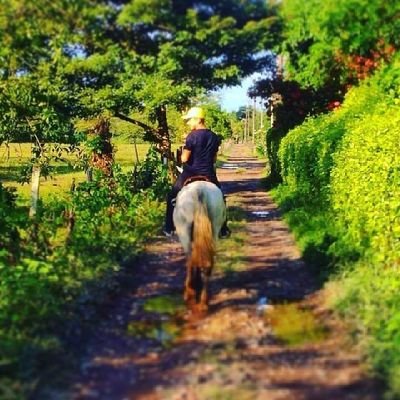 MiguelMartinz09's profile picture. Soy tímido busco... bueno... esteeee... no, bueno... nada... no importa..

🙌 Aunque mis ojos no te puedan ver 👀, te puedo sentir, sé que estás  aquí ❤