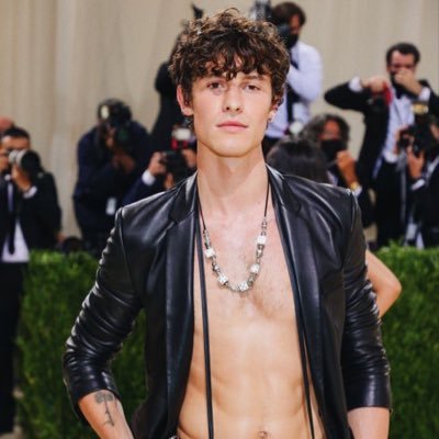 bugandcat's profile picture. fan account