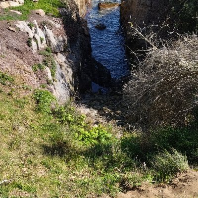 Peponosa's profile picture. #UnChileMasJusto
#AmoAMiFamilia
#EnDiciembreVotoNo