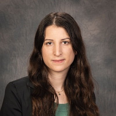 Assistant Professor in the Department of Chemical and Biological Engineering at UW-Madison, focusing on process systems engineering.
