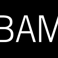 BAM (@bam_brooklyn) 's Twitter Profile