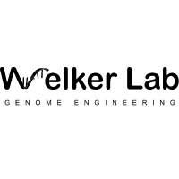 Welker Lab (@welkerlab) Twitter profile photo