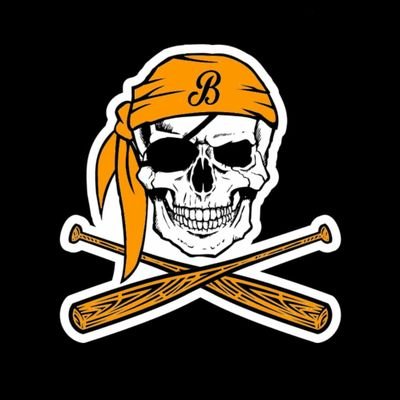 Baseball team based in Ulster. Plundering their way through the Baseball Ireland League. #GoBucs Contact: ulsterbaseballsoftball@hotmail.com