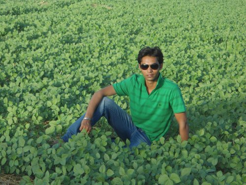 Rajvarsha143's profile picture. 