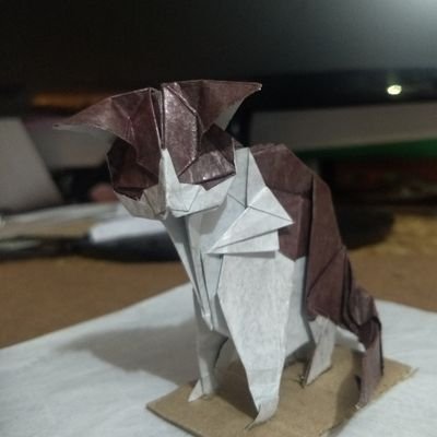 Oscar_benjamin9's profile picture. vivo con orgullo y la frente en alto...