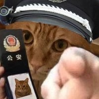 云溡半山 (@wyx10220) 's Twitter Profile Photo