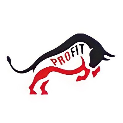 theprofitabull Profile Picture