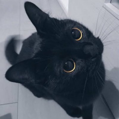 secret_dothack's profile picture. よろしくお願いします。ほぼ愚痴垢だよ。