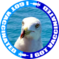 幸せの白い鳥(ギブソン所有者)(@usovich) 's Twitter Profile Photo