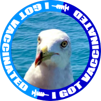 幸せの白い鳥(幸福男) (@usovich) 's Twitter Profile Photo 幸せの白い鳥(幸福男) (@usovich) 's Twitter Profile Photo