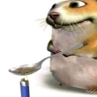 i_connt_type's profile picture. He/him