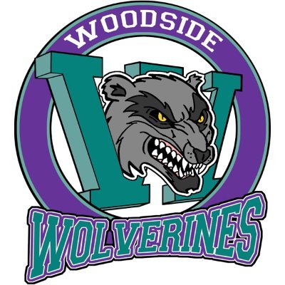 Woodside High School Library Profile