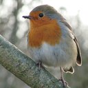 Del Stephenson - @DelStephenson - Twitter