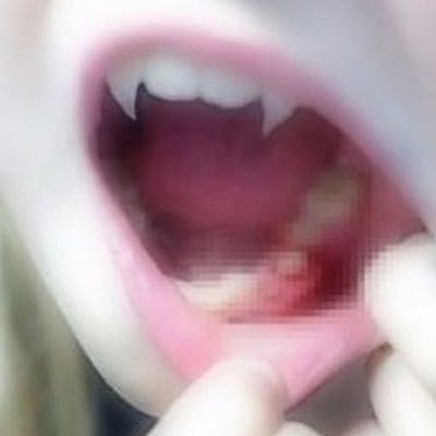 cenerearagosta's profile picture. 