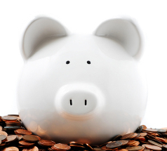 mymeans's profile picture. Educate yourself to Financial Freedom