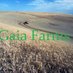 Gaia Farms (@Gaia_Farms) Twitter profile photo