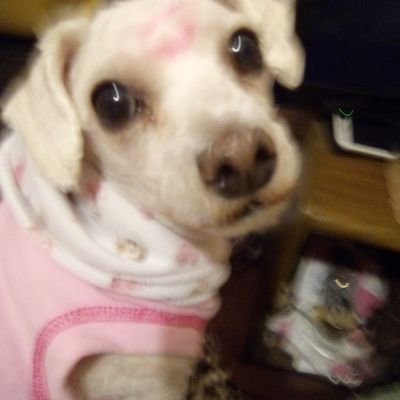 VernicaCsar2's profile picture. 