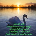 Marty Baird - @marty45_b - Twitter