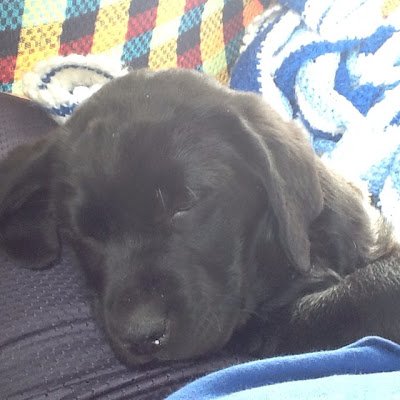 al_kelvy's profile picture. nothing