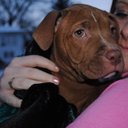 Logan Lyons - @LoganLyons2 - Twitter