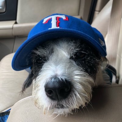 (no longer) cursed baseball fan of the World Series Champion Texas Rangers. consumer of histories. lost cause fighter. christian against christian nationalism.