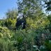 Edible_Landscapes_London (@forestgardenell) Twitter profile photo Edible_Landscapes_London (@forestgardenell) Twitter profile photo