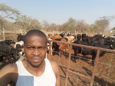 Akufuna11's profile picture. Male