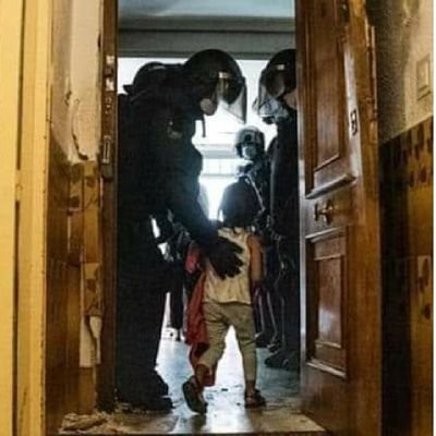 balluga11's profile picture. 