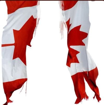 Canadian🍁, Dad, Mma Fan, Make Canada Great Again.