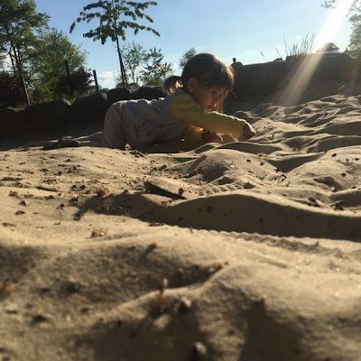 works_pete's profile picture. 