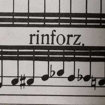 Rinforzand0's profile picture. XMR maxi