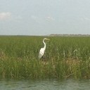 Freddy Taylor - @freddytinatree - Twitter