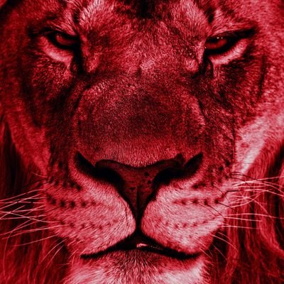 PabloR1521's profile picture. ⚫⚫🔴🔴🦁🏆🔥30🔥🏆🦁🔴🔴⚫⚫