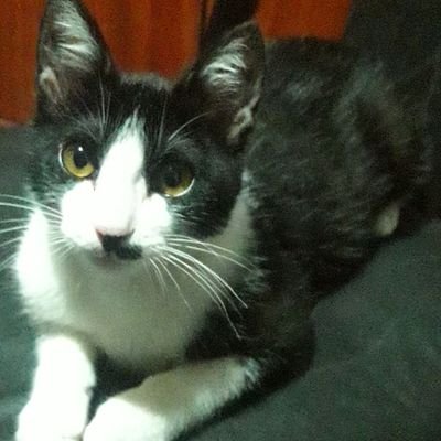 Jeny006Jenny's profile picture. 