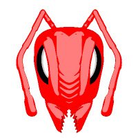 Fireants Labs INC. (@fireantscoin) 's Twitter Profile