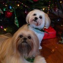 Nancy Vickers - @nmvickers - Twitter