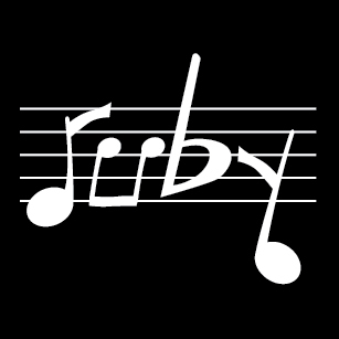 I wish to enhance cultural value and wealth for musicians and consumers