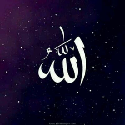 nourelsdat's profile picture. 