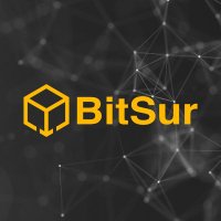 Bitsur Official(@BitsurOfficial) 's Twitter Profile Photo