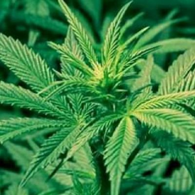 YaoedemE's profile picture. musician,. actor businessman