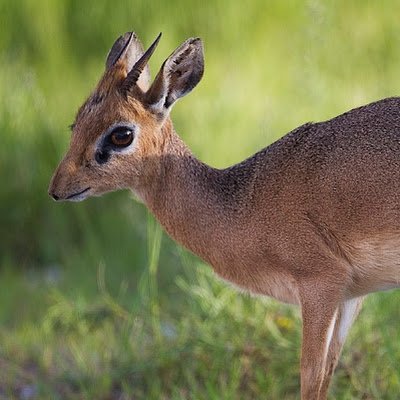 JoeBro132's profile picture. 