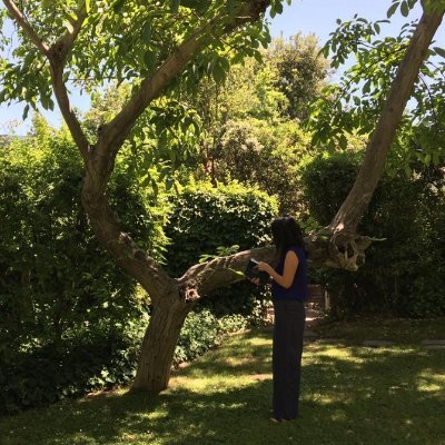 PhD en Arquitectura y Estudios Urbanos. Me interesan las experiencias urbanas, la estética, la escritura, los textiles.