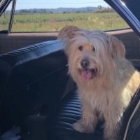 JessDan1776 (@jdan1776) 's Twitter Profile