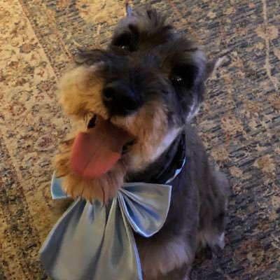 Deborah41331's profile picture. 