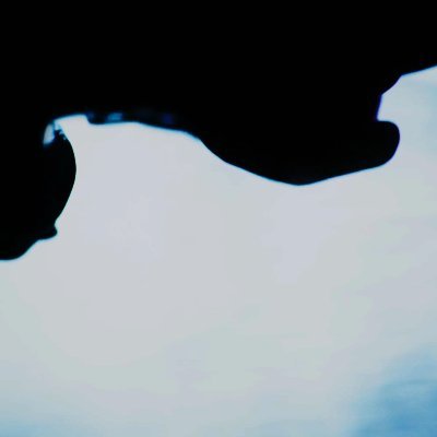 jaimecidl's profile picture. Music Composer, 3d Artist and Game Dev.