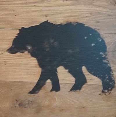 TrkzYaz's profile picture. 