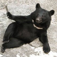 ヨウタ♂ (@youtaura10) Twitter profile photo