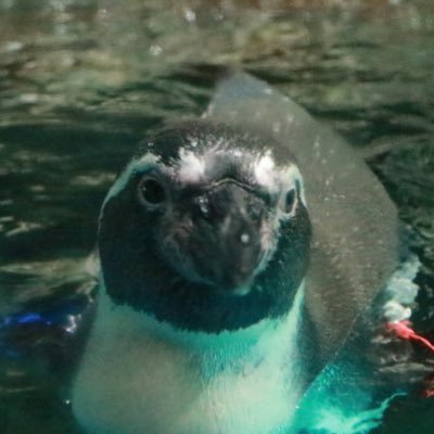 玲さんのプロフィール画像