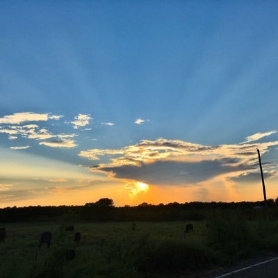 Matt_Aggie_86's profile picture. 