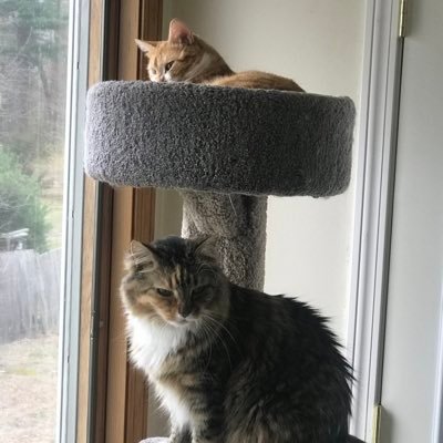 Robert46288774's profile picture. 